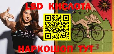 амф Можга