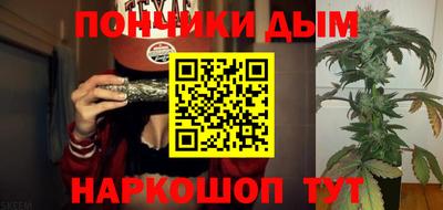 амф Можга
