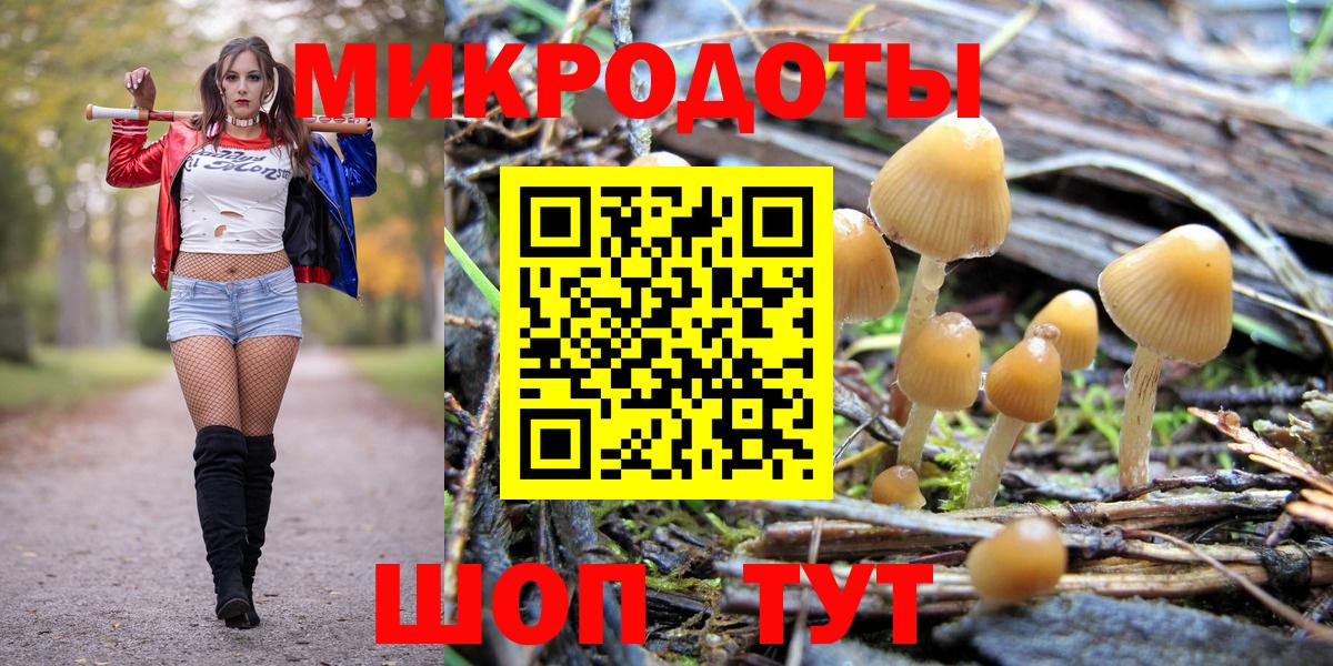 где найти наркотики  Вход с VPN  Большой Камень  Галлюциногенные грибы GOLDEN TEACHER 