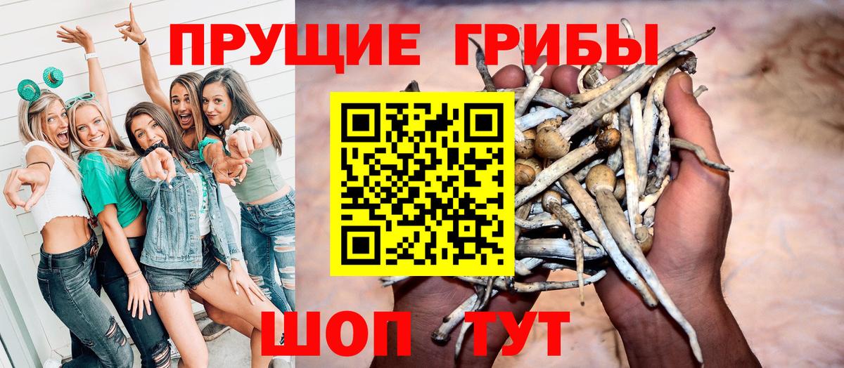 Псилоцибиновые грибы мухоморы Большой Камень
